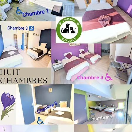 Domaine Du Luth Grand - 8 Ch - 19 Lits -poitiers Futuroscope Et Aquascope * Quincay