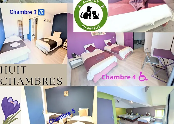 Domaine Du Luth Grand - 8 Ch - 19 Lits - Futuroscope Et Aquascope * Quincay